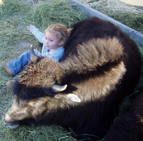 Maddie with Yaks
